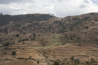 Les tensions se poursuivent dans l'ouest du Tigray en Ethiopie selon l'ONU (archives).